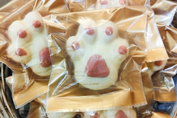 スペシャルフィニャンシェ